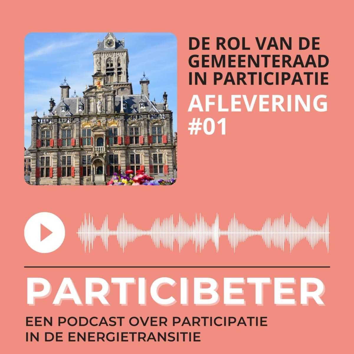 Artwork aflevering 1: het stadhuis van Delft, De rol van de gemeenteraad in participatie